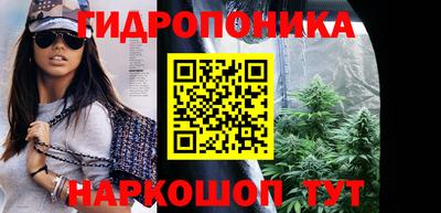 прущие грибы Шелехов