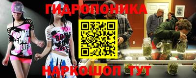стаф Шахты