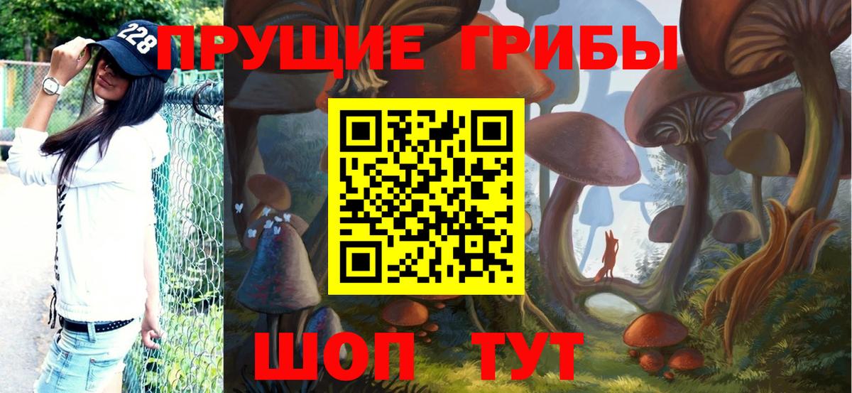 Дальнереченск  Галлюциногенные грибы Cubensis  Вход с VPN 